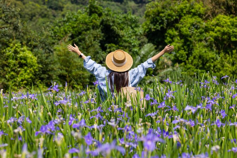 counselling for Trauma, Abuse & Relationship Challenges in Arizona