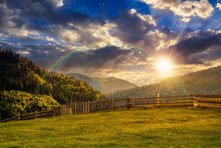 Oaksprings Counseling Online Therapy in Arizona